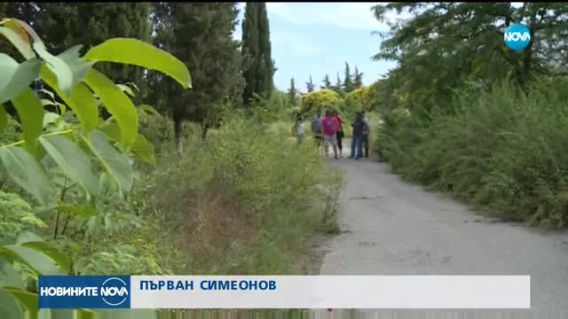 В ЗАЩИТА НА "БЕДЕЧКА": Екоактивисти опънаха палатки в центъра на Стара Загора