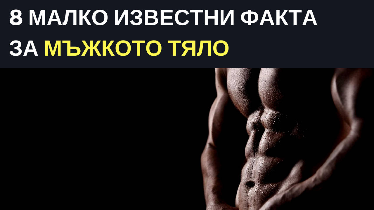 8 малко известни факта за мъжкото тяло