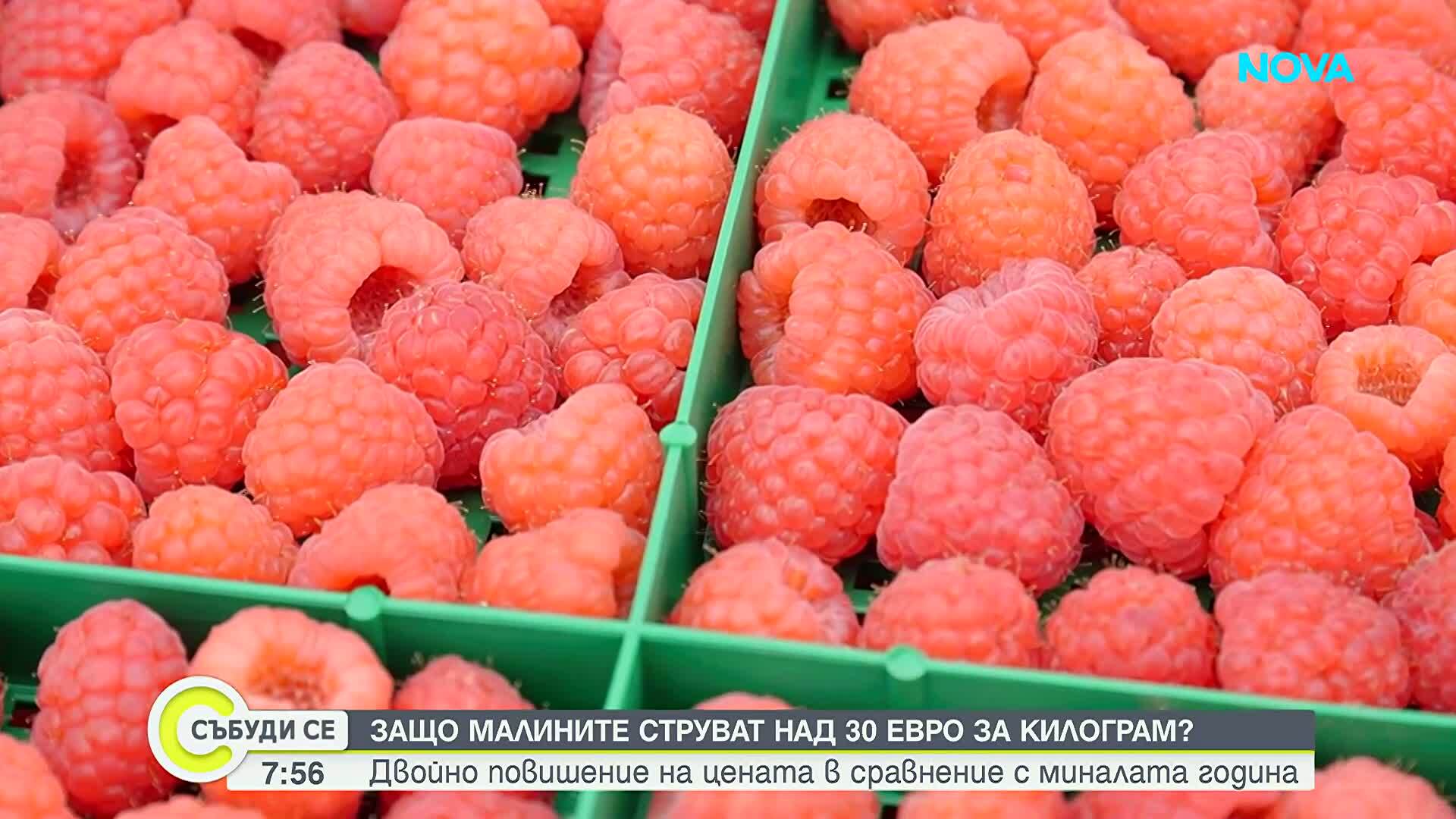 България е топ производител на малини в света, но у нас те са луксозна стока