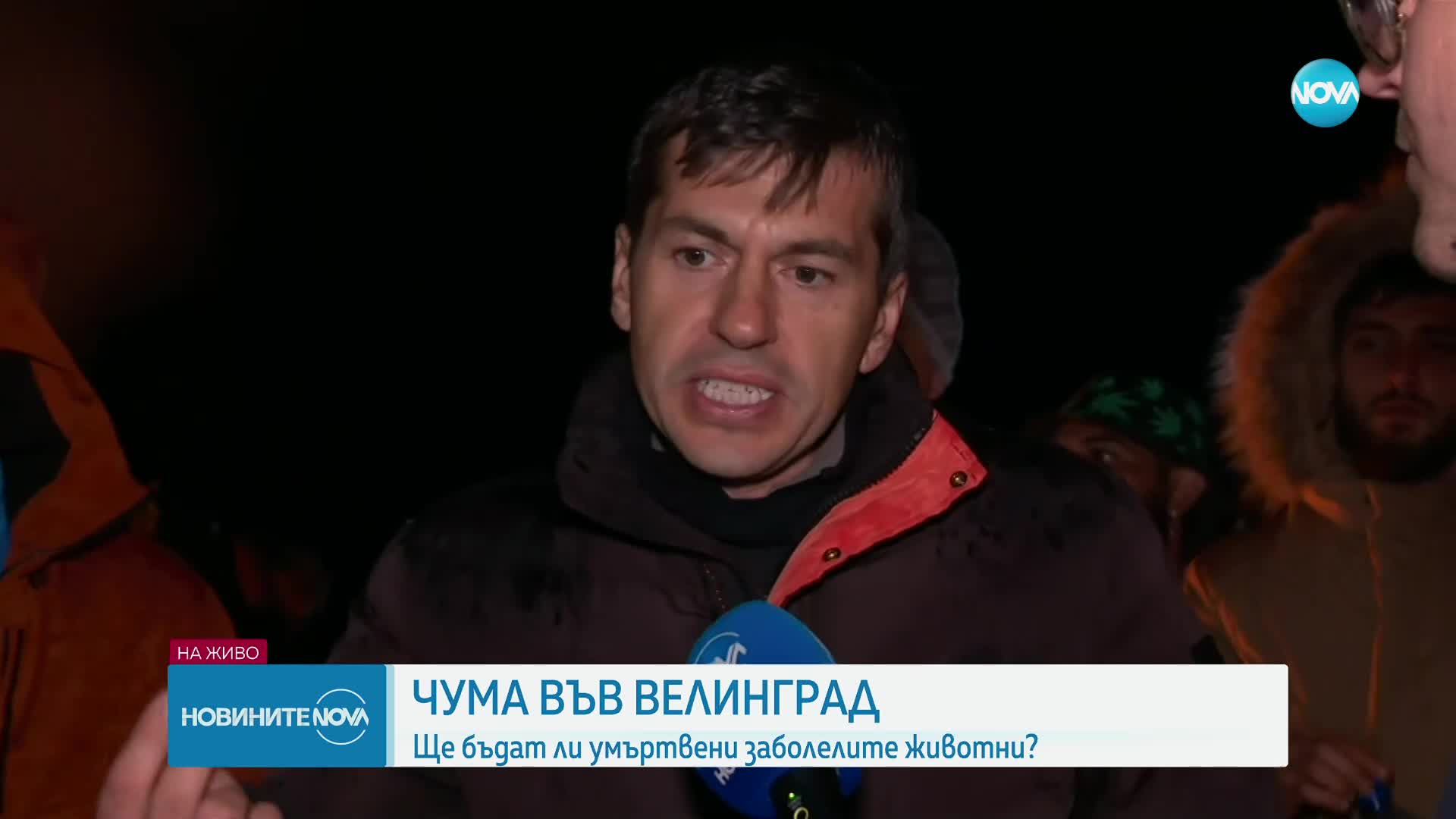 Стопанинът на заразеното стадо във Велинград: Мисля, че няма чума по животните, това ми е поминъкът