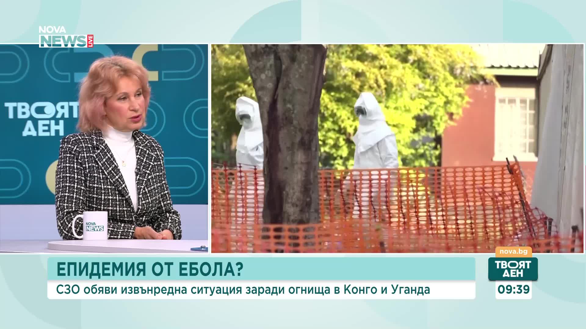 Проф. Ива Христова: Няма основание за тревога от хантавирус у нас