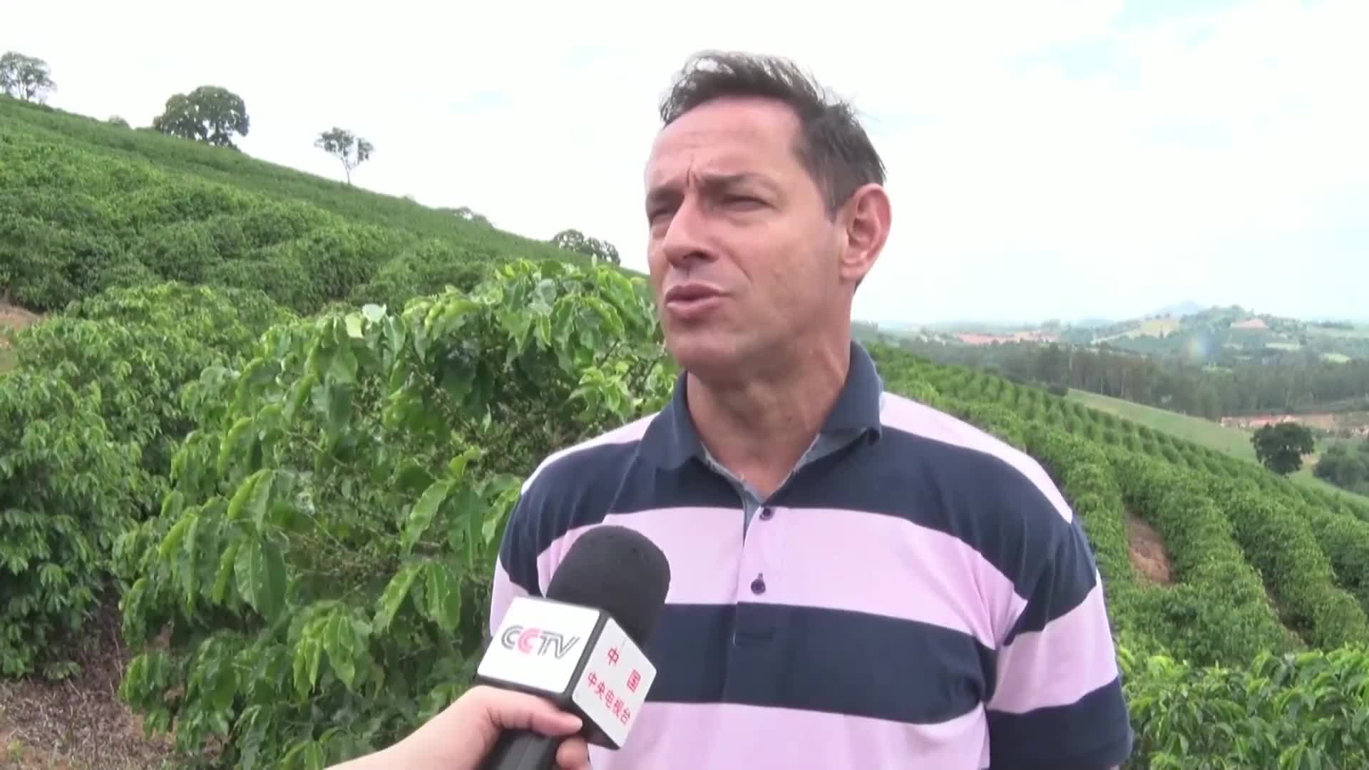 Производителите на кафе в Бразилия са все по-притеснени от намаления добив (ВИДЕО)