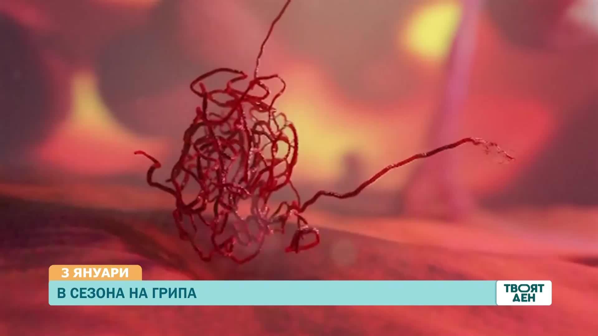 В „Твоят ден” на 3 януари ще видите