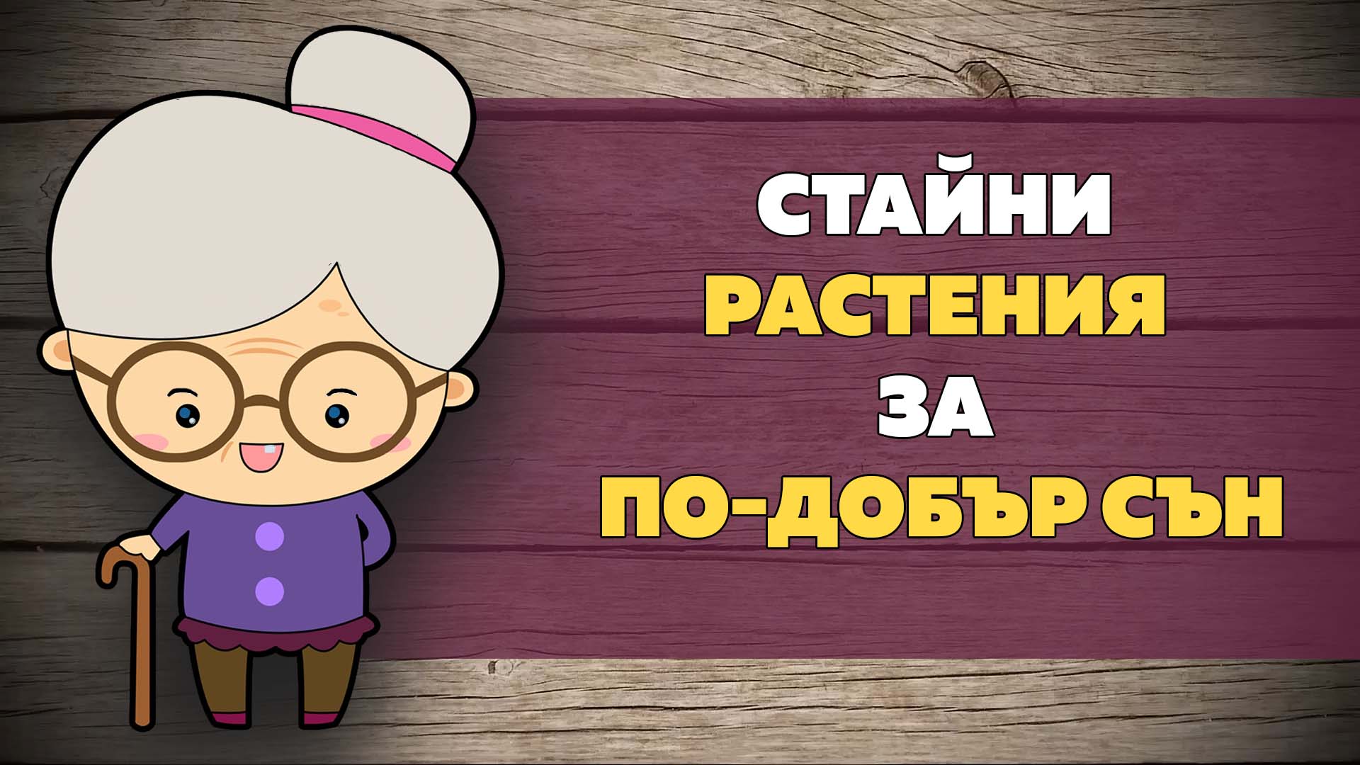 Стайни растения за по-добър сън