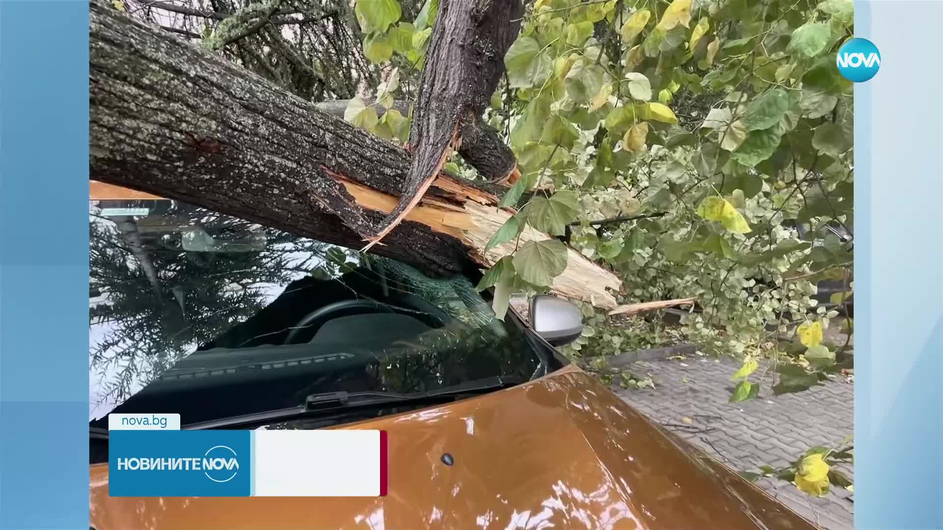 ОПАСНО ВРЕМЕ: Бурен вятър причини щети в цяла България