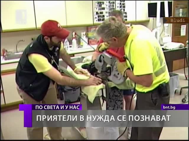Спасиха коте, заклещено в тръба
