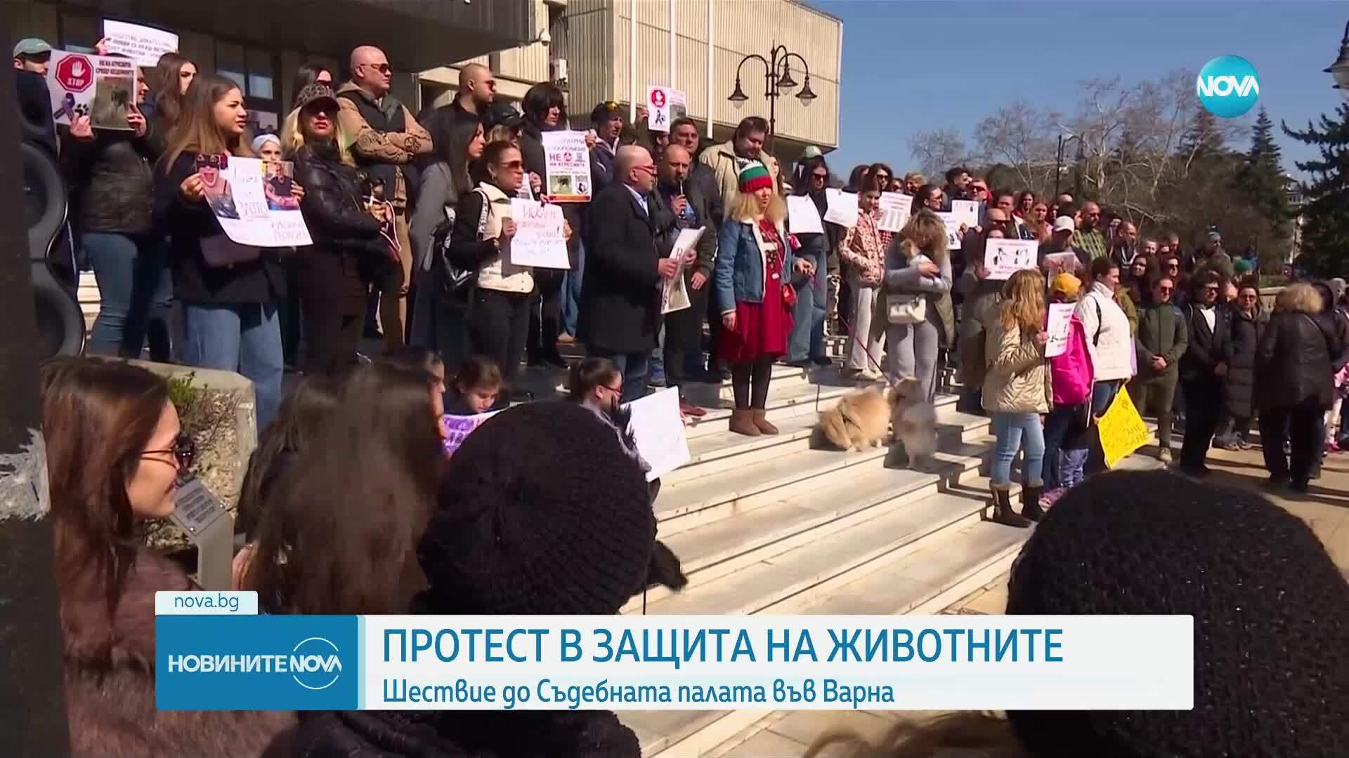 Протест във Варна срещу насилието над животни