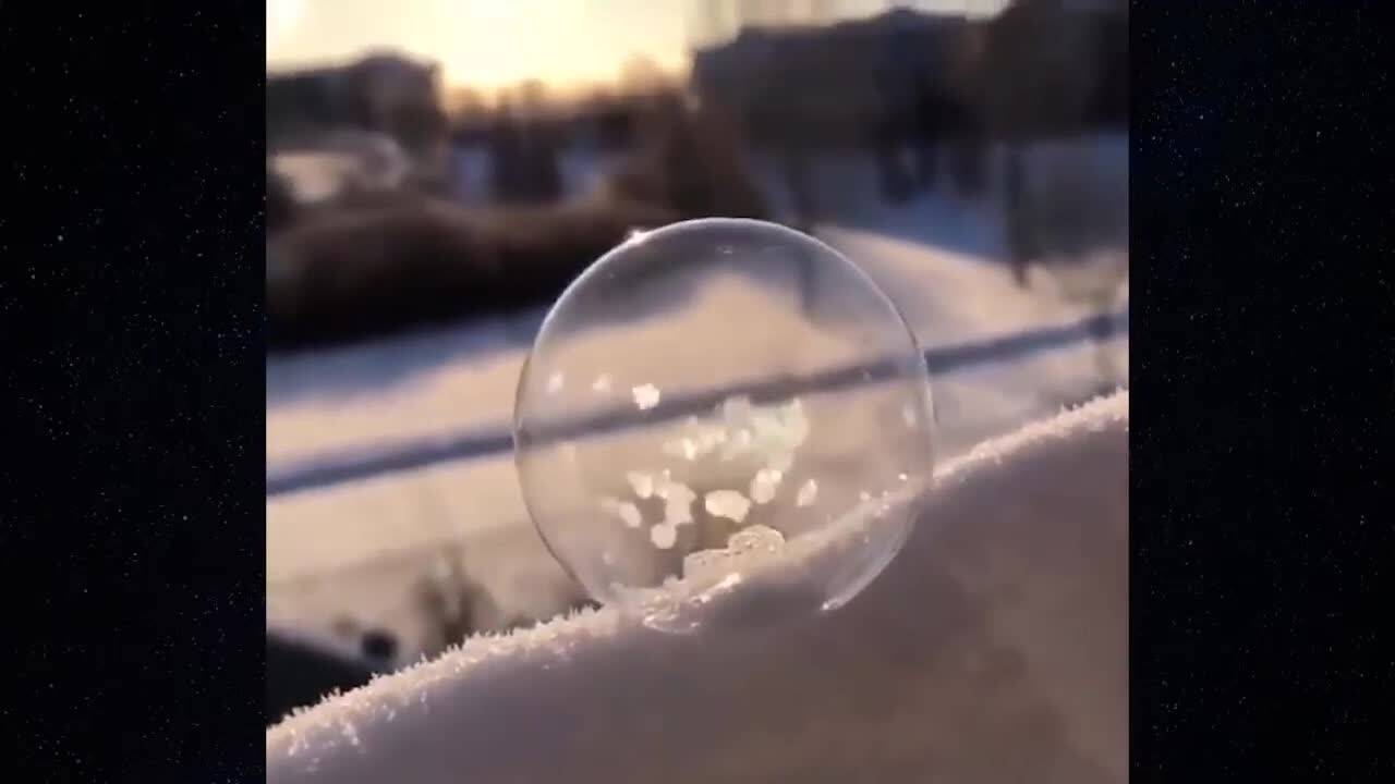 Щури забавни изцепки - Много смях