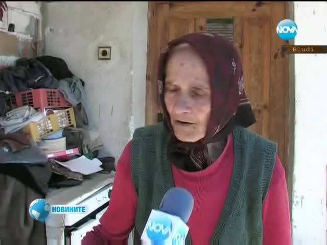 Мечка-стръвница подгони жена в Смолянско