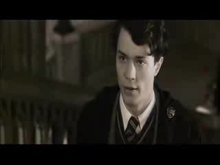 Harry Potter And Tom Riddle