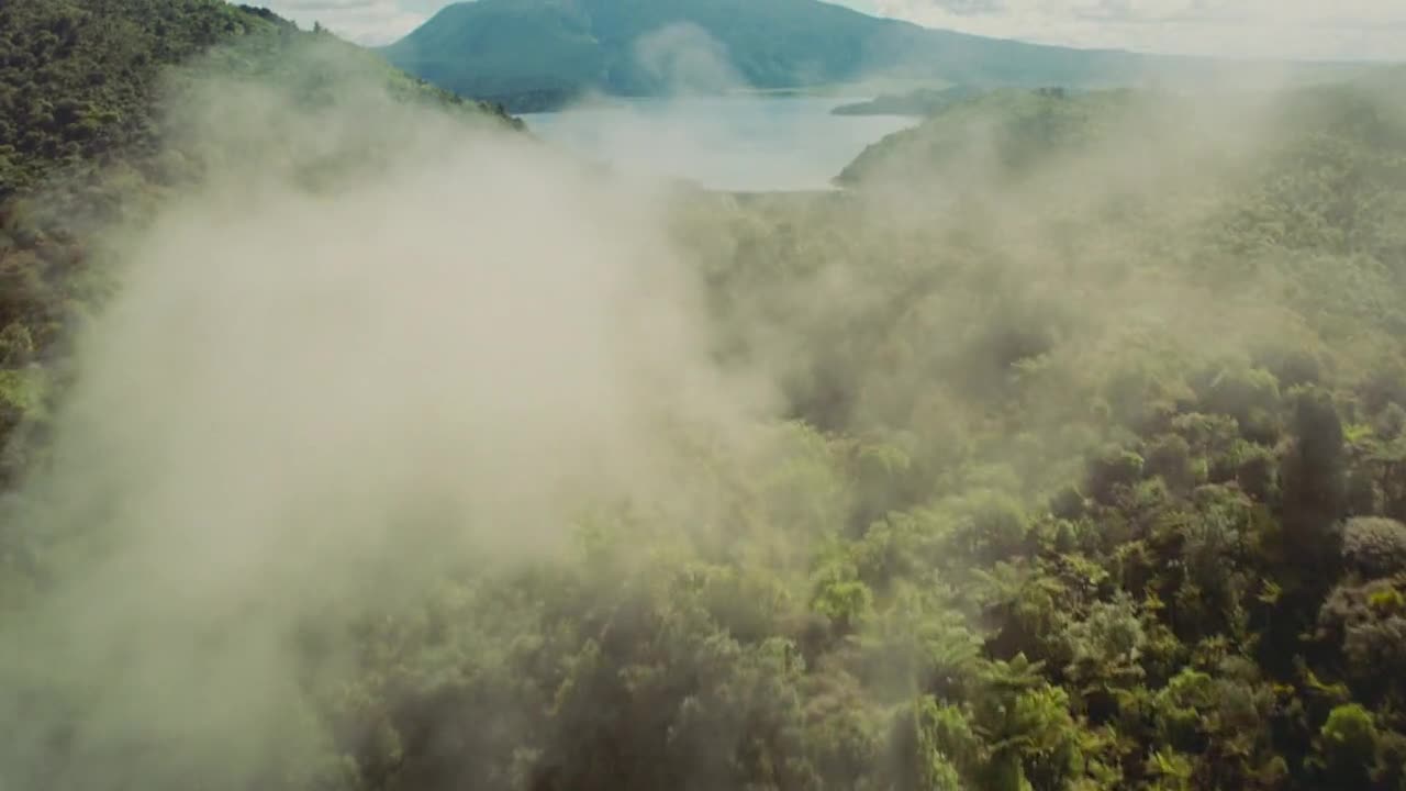 Sea Rex: Праисторическо пътешествие (от 14.09 в Imax3d )