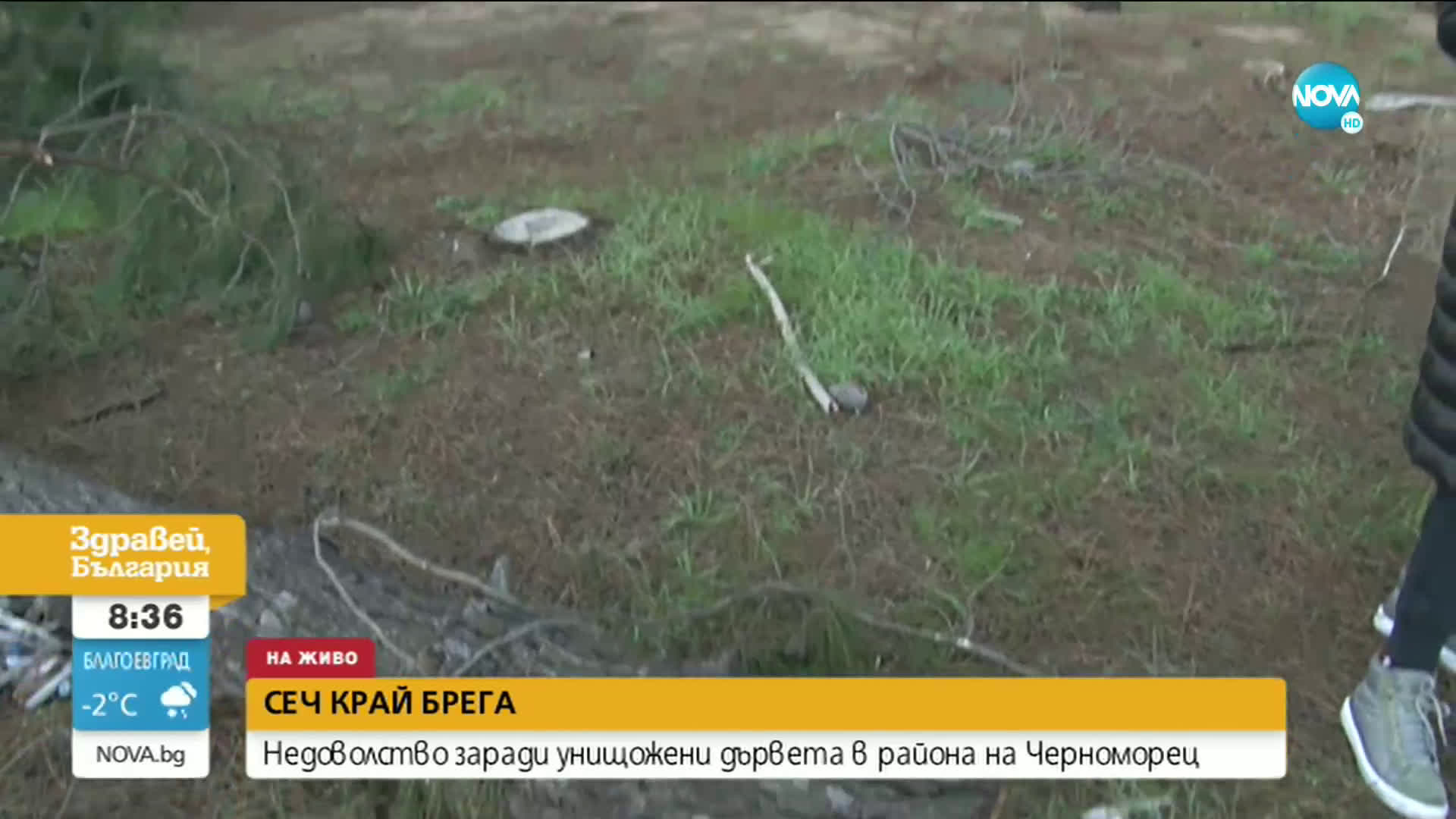Недоволство заради сеч на дървета край Черноморец