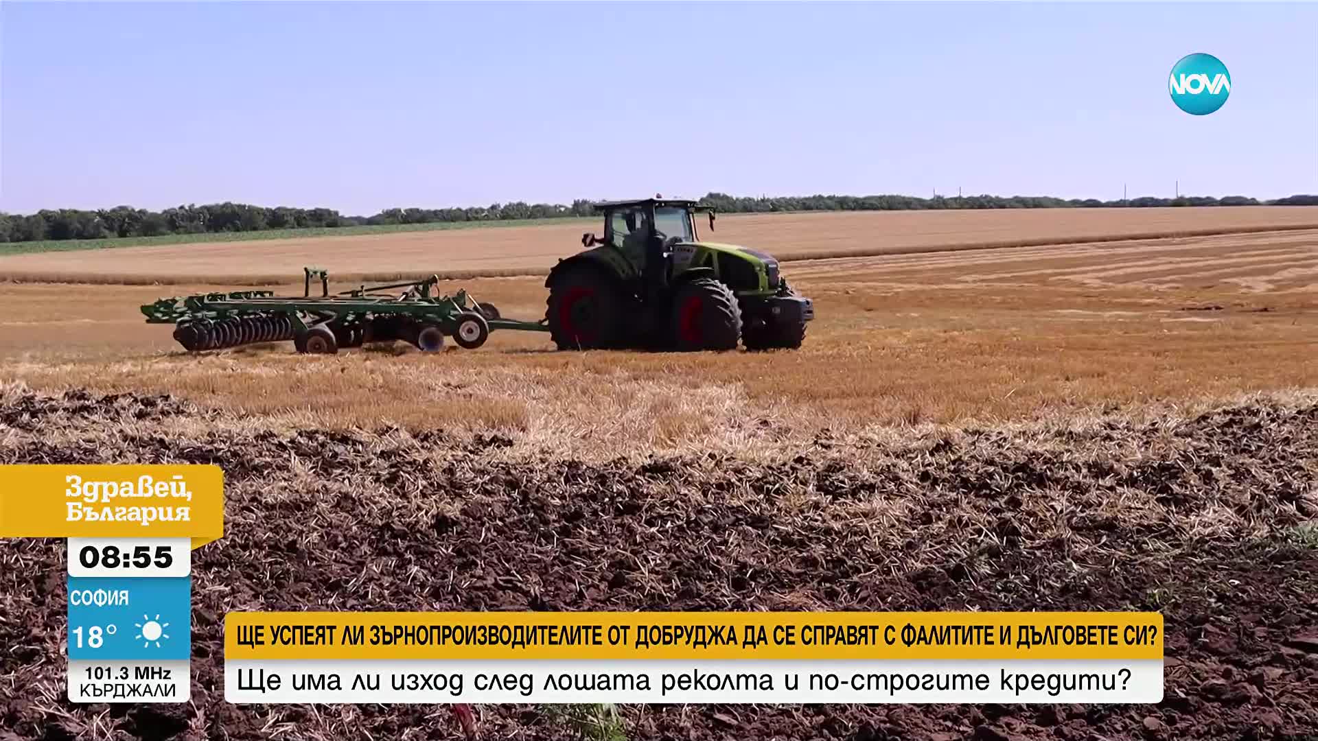 Зърнопроизводители в Добруджа са застрашени от дългове и фалити