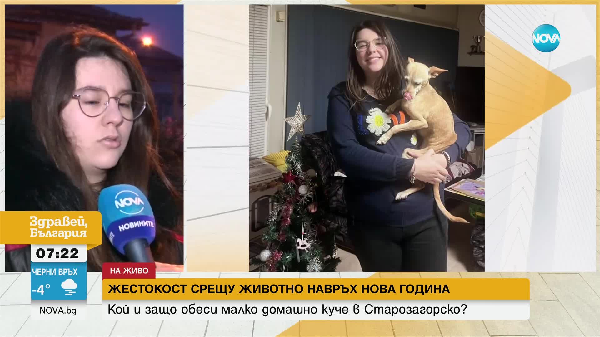 Собственичката на обесеното в Старозагорско куче: Изпитах неописуем ужас като го видях