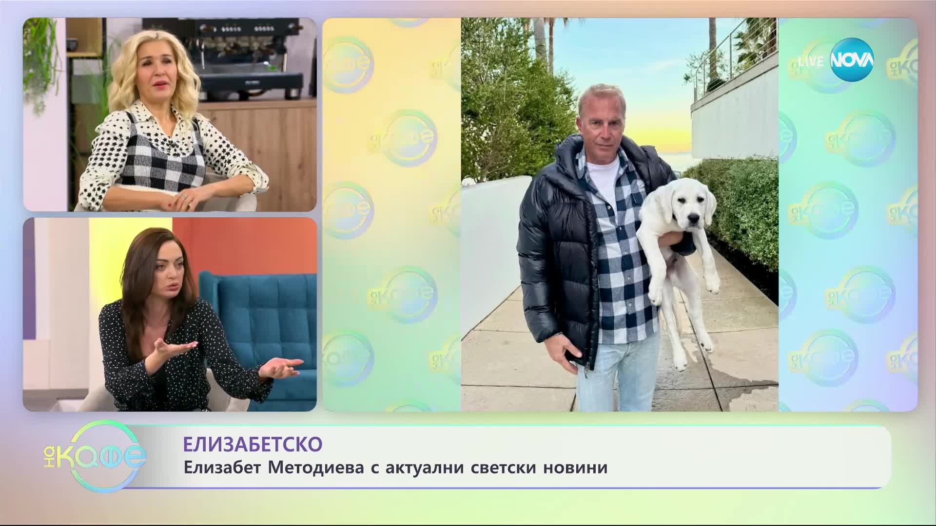 Кевин Костнър показа лабрадора си