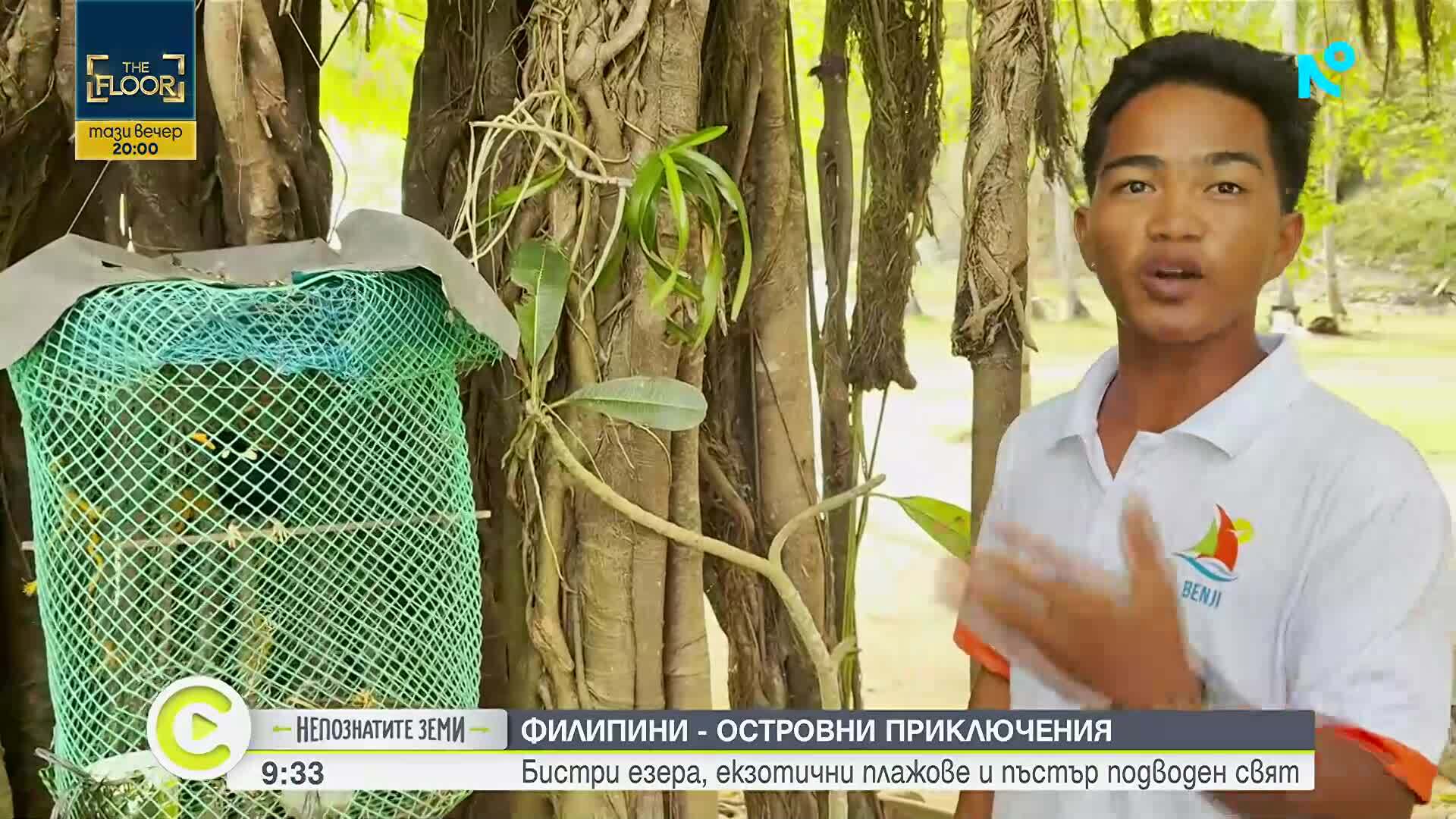 „Непознатите земи” във Филипините: Сред лагуни, корали и над 7000 острова