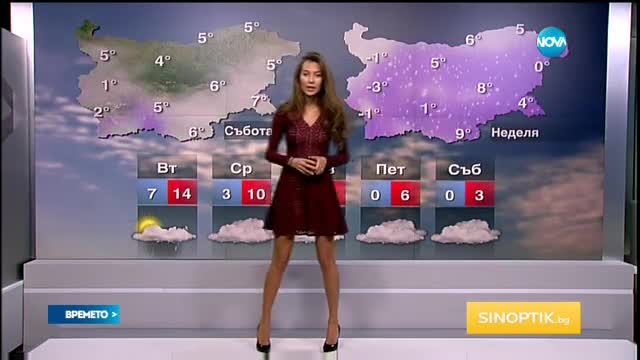 Прогноза за времето (11.01.2016 - централна)
