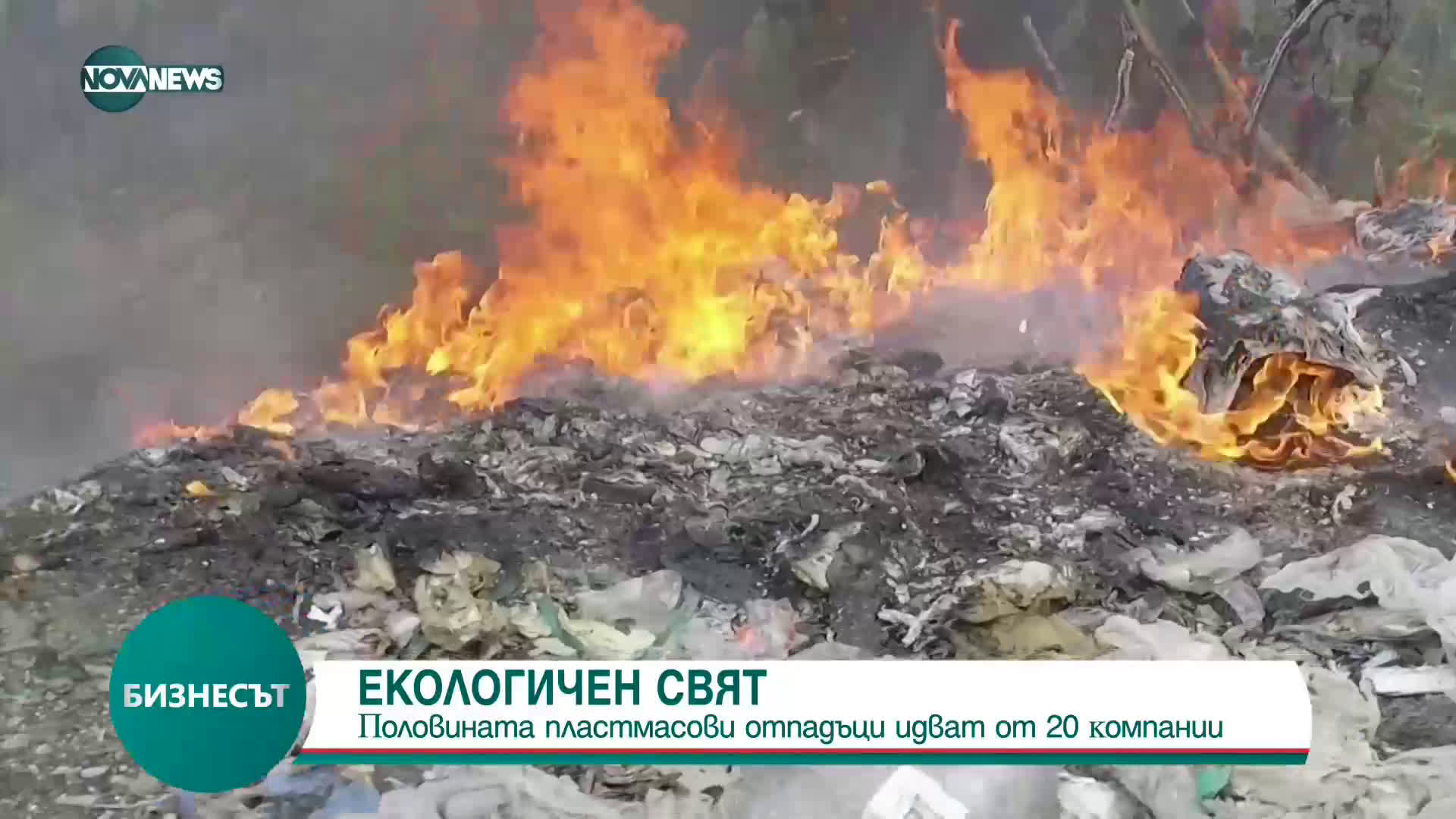 Πoлoвинaтa плacтмacoви oтпaдъци в света идвaт oт 20 ĸoмпaнии