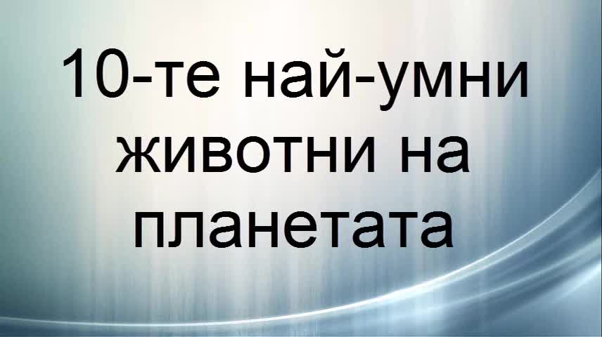 10-те най-умни животни на планетата