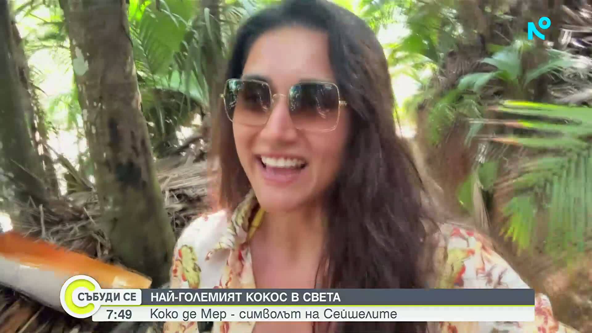 Сейшелите: Пътешествие до Валe де Мей и легендарния Коко де мер