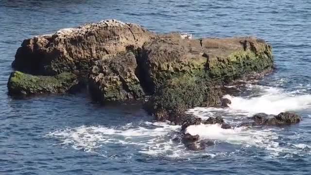 България губи годишно по 25 дка от морския бряг заради абразия (ВИДЕО+СНИМКИ)