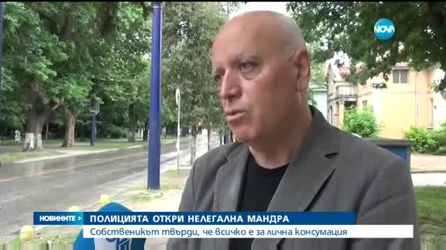 Новините на NOVA (17.06.2017 - централна емисия)