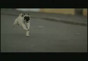 Най - Добрия Приятел на Човека !