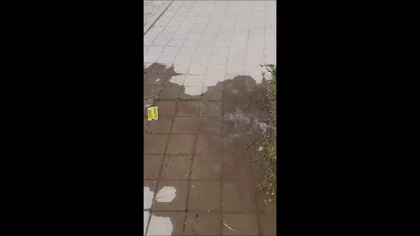 "МОЯТА НОВИНА": Авария