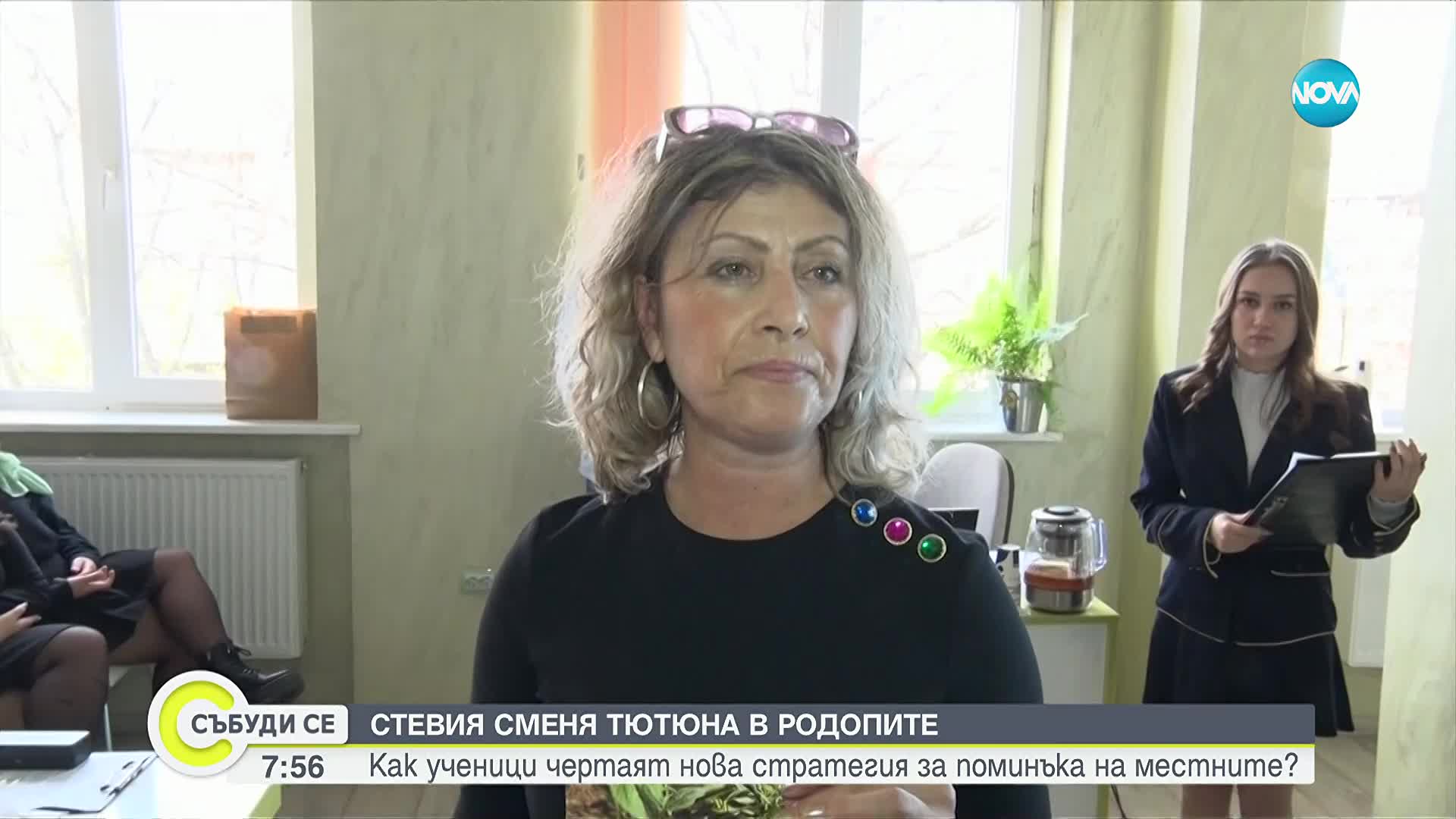 Стевията заменя тютюна в Родопите: Ученици чертаят нова стратегия за поминъка на местните хора