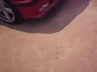 Bmw Събор 2007
