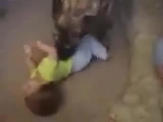 Огромно Куче Си Играе С Дете - Страшничкое..