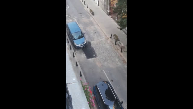 Без контрол и организация!
