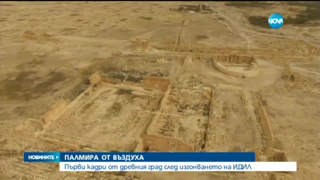 Палмира може да бъде възстановена за 5 години