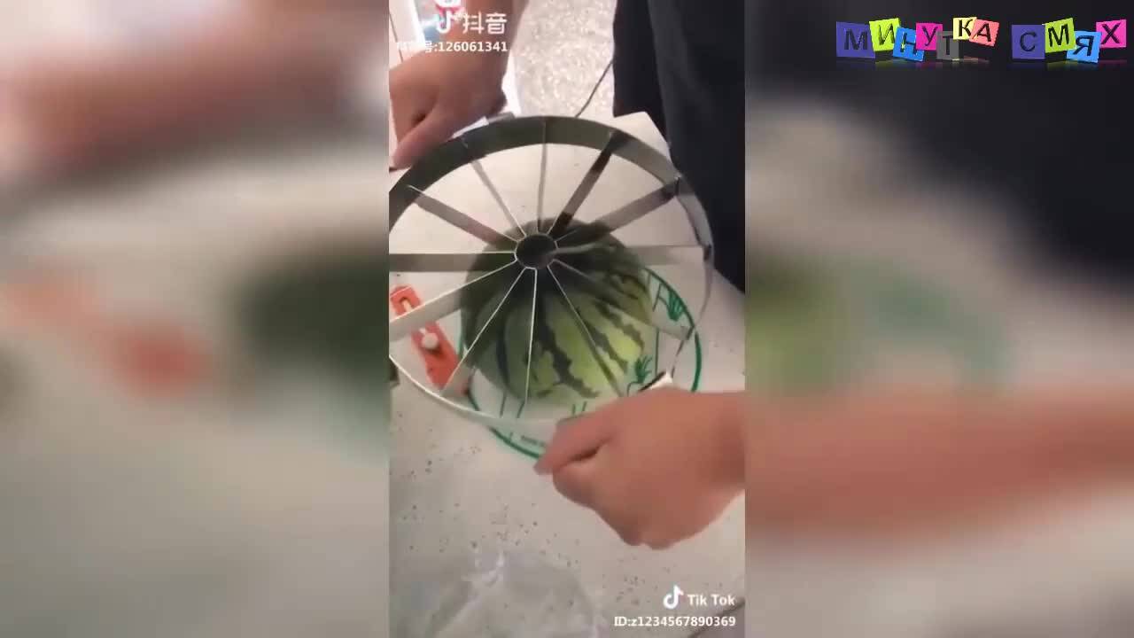 Луди хора правят яки изцепки - Минутка смях