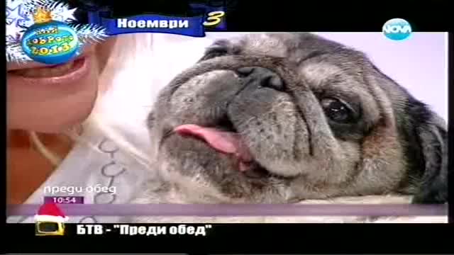Господари на ефира новогодишно издание 31.12.2013 2/2 части