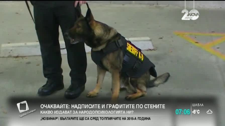 В САЩ купуват бронирани жилетки на полицейските кучета