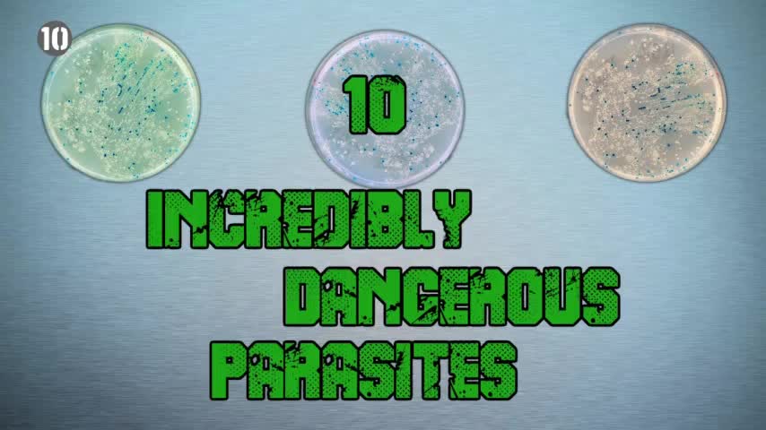 10 Невероятно опасни паразити