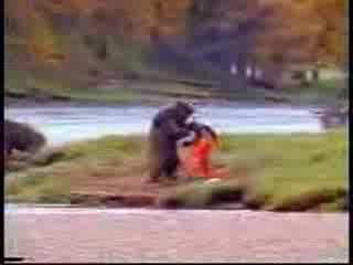 Bear Vs Human