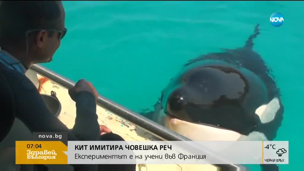 Новините на NOVA (02.02.2018 - 7.00 ч.)