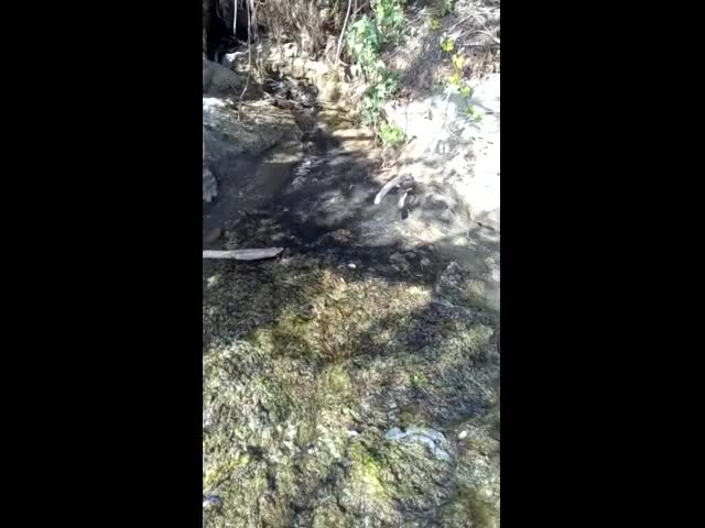 Канал с обратни води се излива в морето