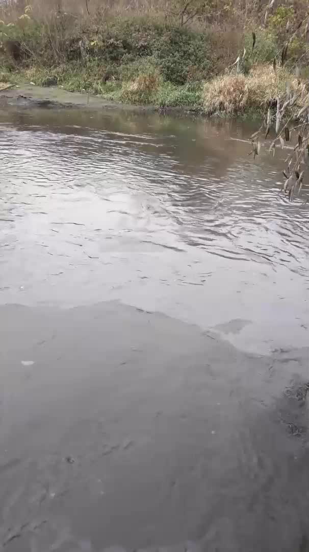 Тече мазут в река Сазлия