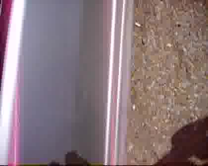 Bass M Bass Ludnica Na Poligona V Ruse