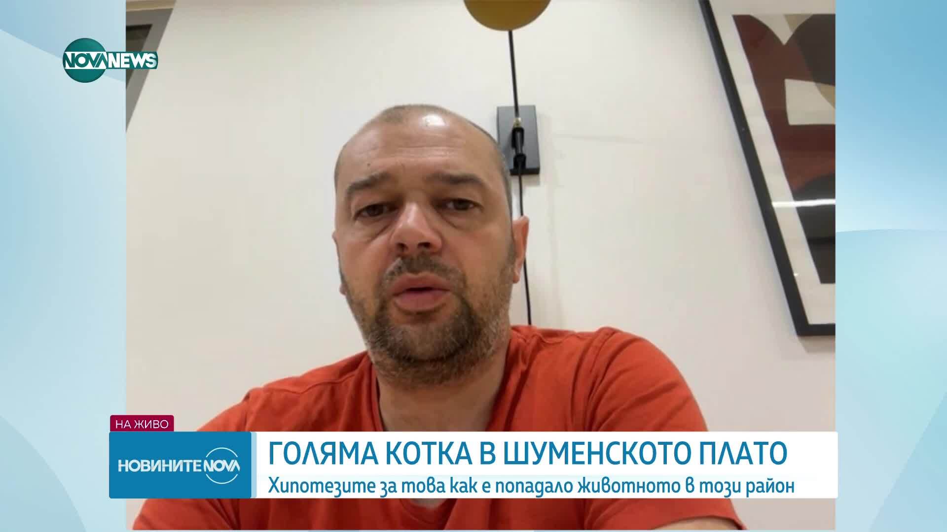 Как рядък хищник попадна в района на Шуменското плато