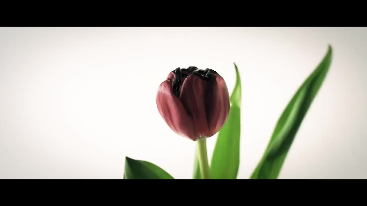 Mayrah - No Fake Love ( Официално Видео )