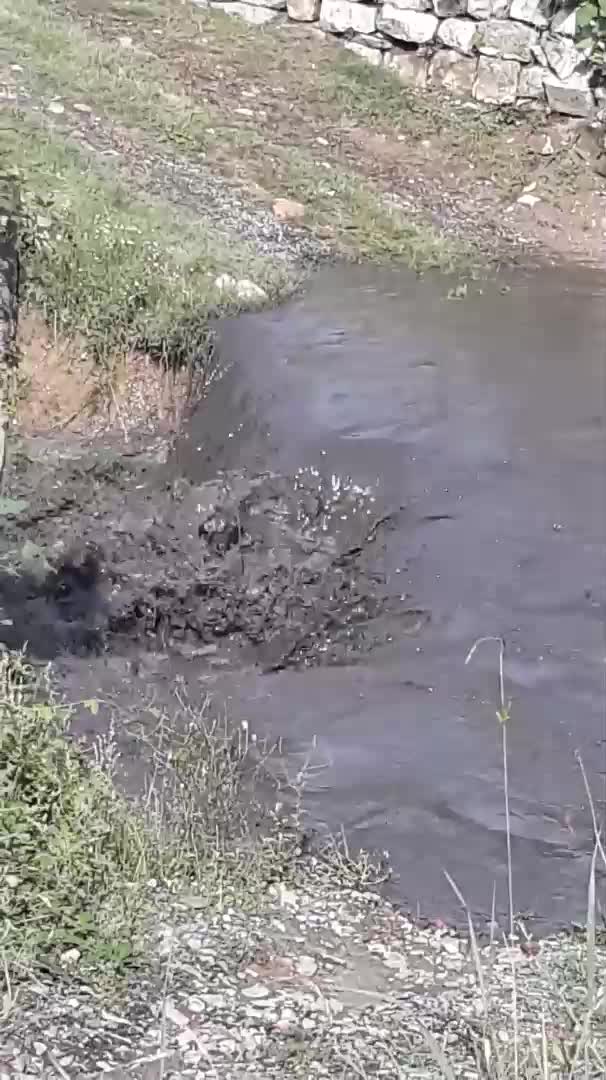 Черна вода тече в река Шугавица