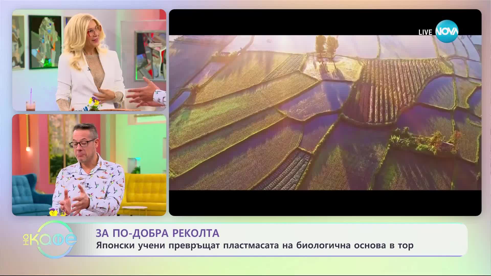 Устойчиви решения - как учените се борят със замърсяването от пластмасови отпадъци - „На кафе“