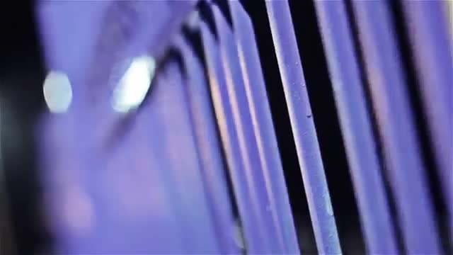 Таня Паскова - Моят град