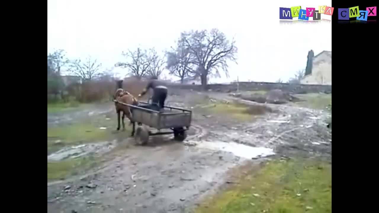 Много смешна компилация с яки изпълнения - Минутка смях