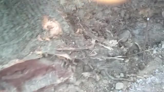 Ремонт на ул. "Монтевидео" в "Овча Купел"