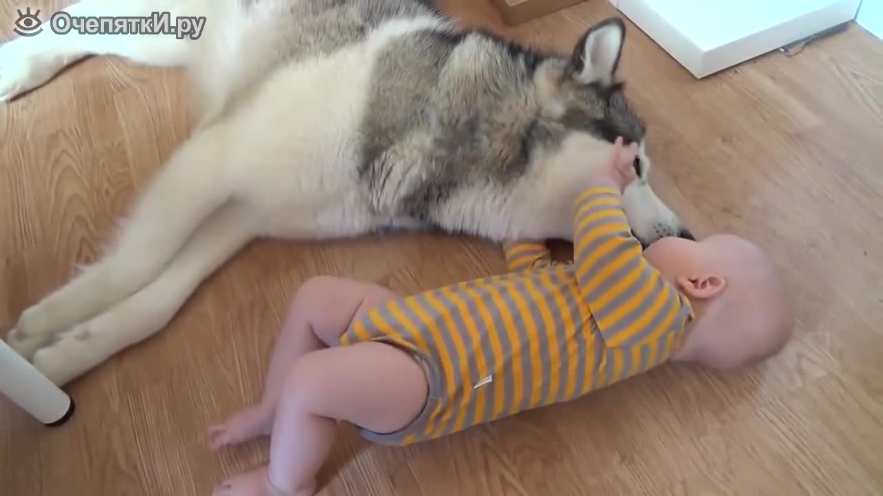 Хъски и бебе